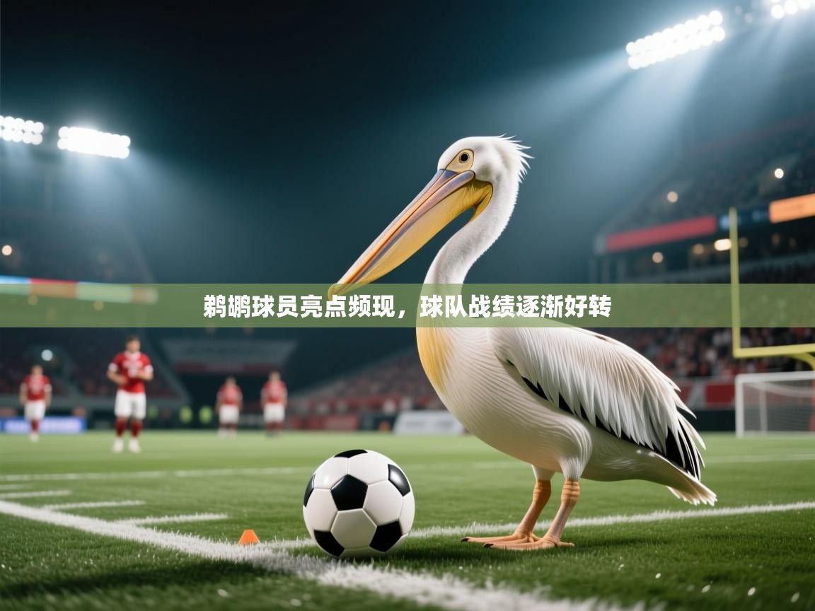 鹈鹕球员亮点频现，球队战绩逐渐好转  第1张